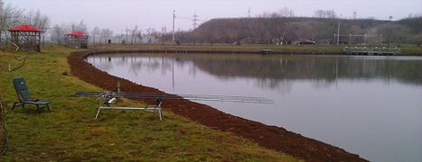 Floarea Popestiului 30 - 30 dec.
